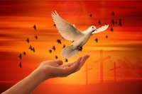 La Paz de Cristo - Asociaci&oacute;n Misionera de Iglesias Pentecostales