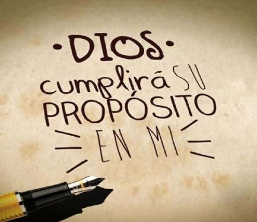 AMIP - ESTUDIOS TEM&Aacute;TICOS - EN LA NOTICIA DE DIOS&nbsp;FONDO BIBLICO DE INICIO