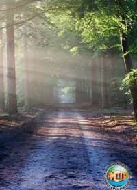 El Llamamiento al Ministerio - AMIP Asociaci&oacute;n Misionera de Iglesias Pentecostales